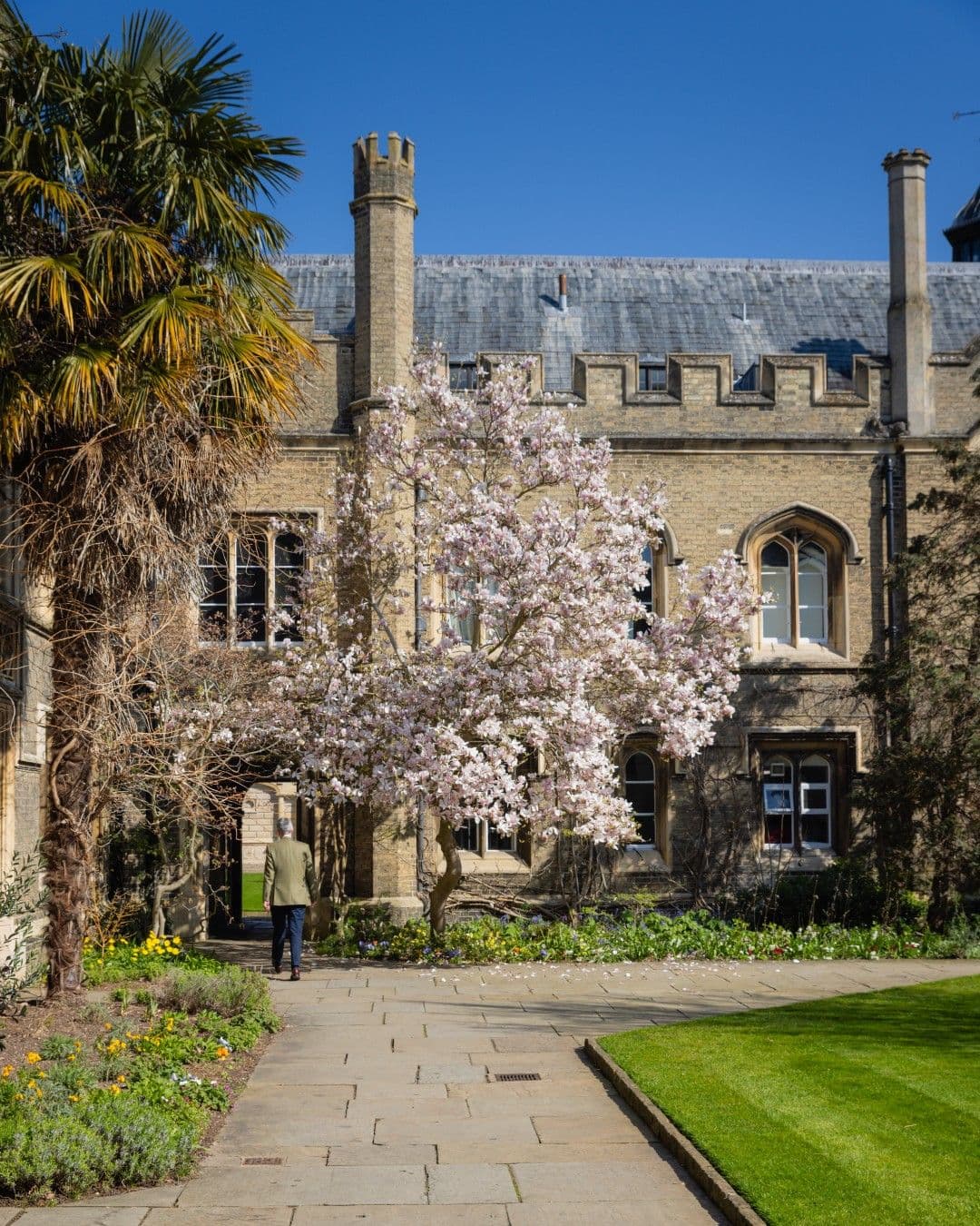 A college courtyard with a tree in blossom